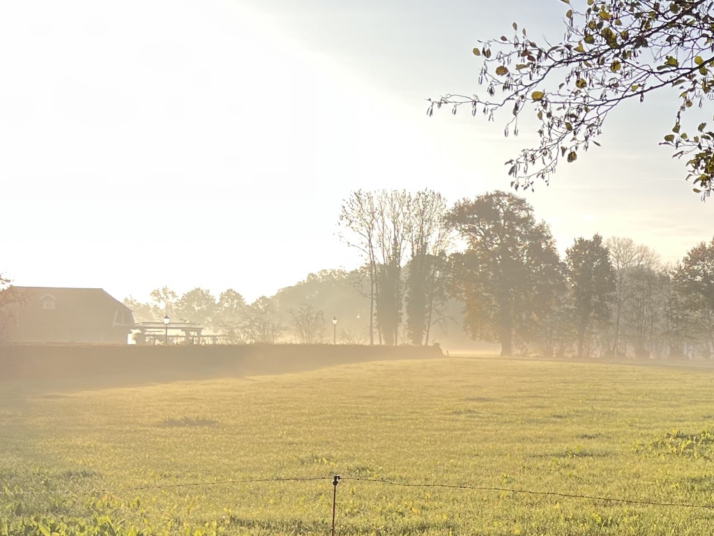 Omgeving foto 3