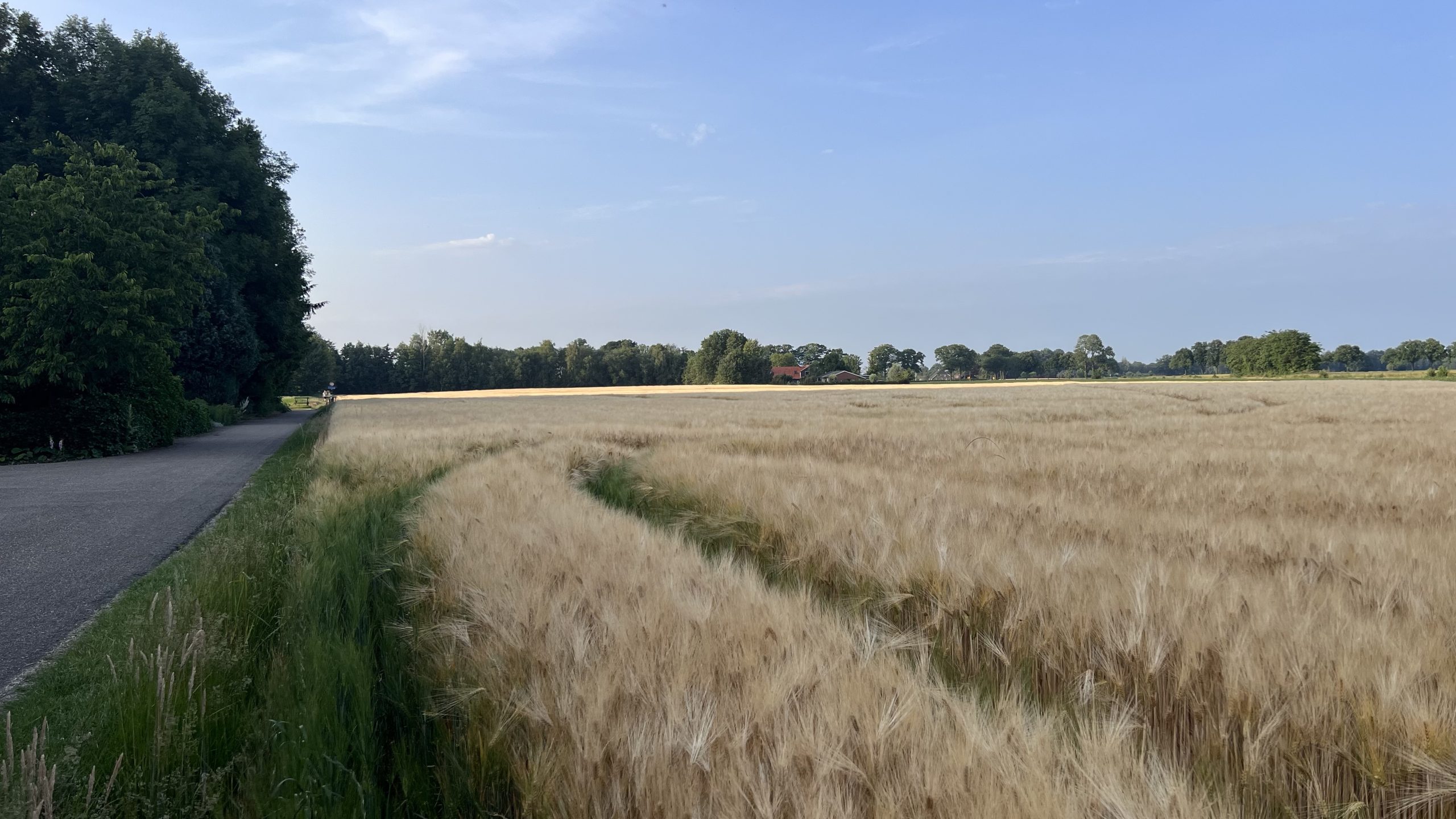 Omgeving foto 5